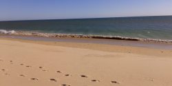 A vida antes da mudança: Roménia - Portugal - Roménia